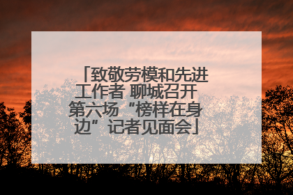 致敬劳模和先进工作者 聊城召开第六场“榜样在身边”记者见面会