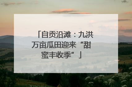 自贡沿滩：九洪万亩瓜田迎来“甜蜜丰收季”