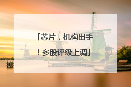 芯片，机构出手！多股评级上调