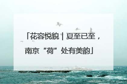 花容悦貌｜夏至已至，南京“荷”处有美韵