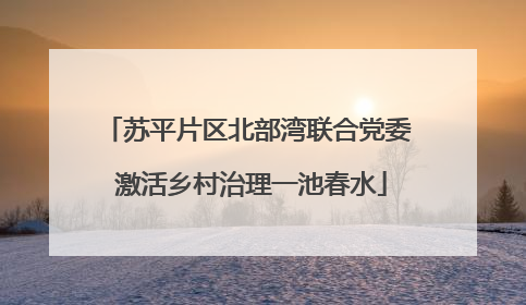苏平片区北部湾联合党委 激活乡村治理一池春水