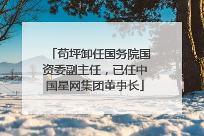 苟坪卸任国务院国资委副主任，已任中国星网集团董事长