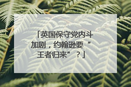 英国保守党内斗加剧，约翰逊要“王者归来”？