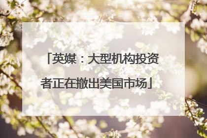 英媒：大型机构投资者正在撤出美国市场