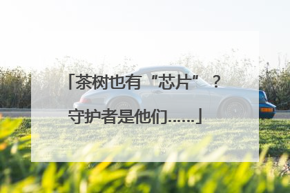 茶树也有“芯片”？守护者是他们……