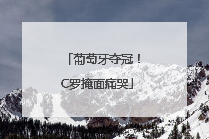 葡萄牙夺冠！C罗掩面痛哭