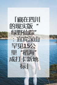 藏在四川的现实版“绿野仙踪”：宜宾深山罕见15公里“稻海”成打卡新地标