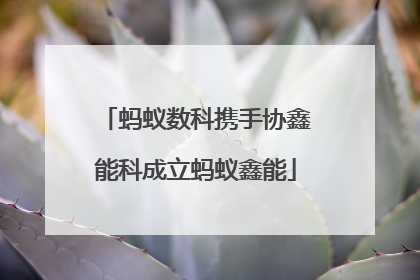 蚂蚁数科携手协鑫能科成立蚂蚁鑫能