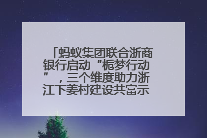 蚂蚁集团联合浙商银行启动“栀梦行动”，三个维度助力浙江下姜村建设共富示范区示范点