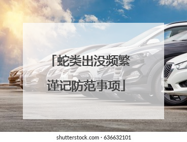 蛇类出没频繁 谨记防范事项