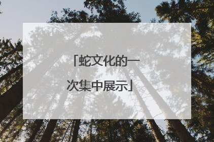 蛇文化的一次集中展示