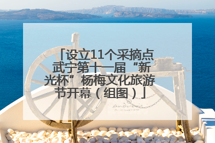 设立11个采摘点 武宁第十一届“新光杯”杨梅文化旅游节开幕（组图）