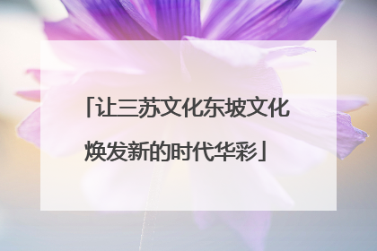 让三苏文化东坡文化焕发新的时代华彩