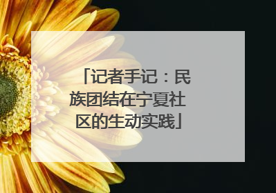 记者手记：民族团结在宁夏社区的生动实践