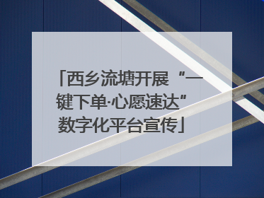 西乡流塘开展“一键下单·心愿速达”数字化平台宣传