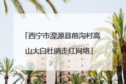西宁市湟源县前沟村高山大白杜鹃走红网络