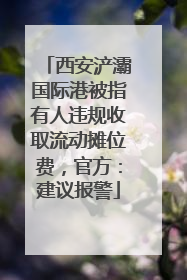 西安浐灞国际港被指有人违规收取流动摊位费，官方：建议报警