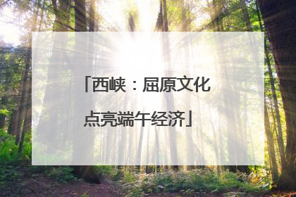 西峡：屈原文化点亮端午经济