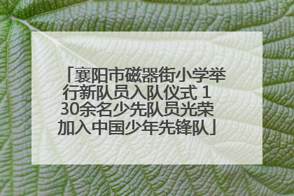 襄阳市磁器街小学举行新队员入队仪式 130余名少先队员光荣加入中国少年先锋队