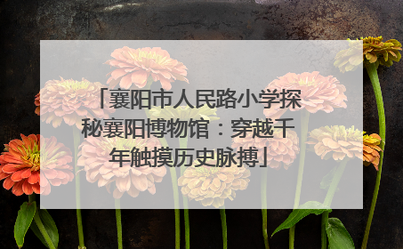 襄阳市人民路小学探秘襄阳博物馆：穿越千年触摸历史脉搏