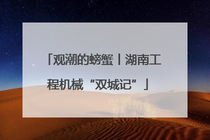观潮的螃蟹丨湖南工程机械“双城记”