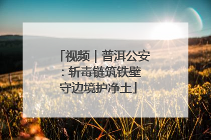 视频｜普洱公安：斩毒链筑铁壁 守边境护净土