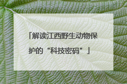 解读江西野生动物保护的“科技密码”