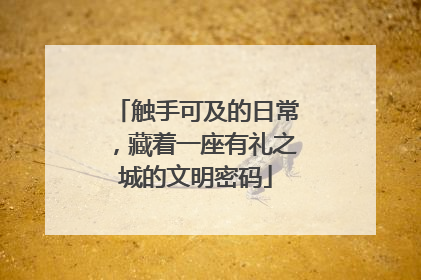 触手可及的日常，藏着一座有礼之城的文明密码