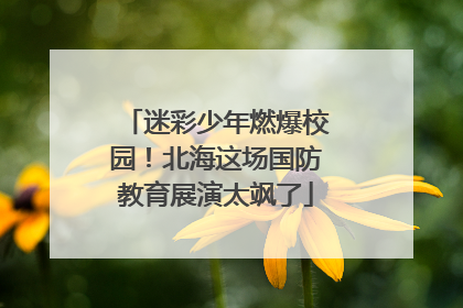 迷彩少年燃爆校园！北海这场国防教育展演太飒了