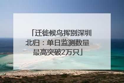 迁徙候鸟挥别深圳北归：单日监测数量最高突破2万只