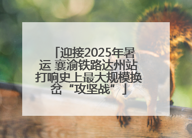 迎接2025年暑运 襄渝铁路达州站打响史上最大规模换岔“攻坚战”