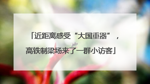 近距离感受“大国重器”，高铁制梁场来了一群小访客