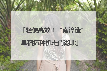 轻便高效！“南漳造”旱稻播种机走俏湖北