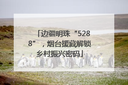 边疆明珠“5288”，烟台援藏解锁乡村振兴密码