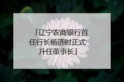 辽宁农商银行首任行长杨济时正式升任董事长