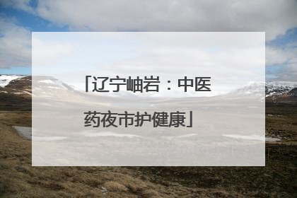 辽宁岫岩：中医药夜市护健康