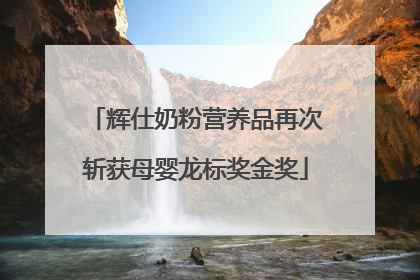 辉仕奶粉营养品再次斩获母婴龙标奖金奖