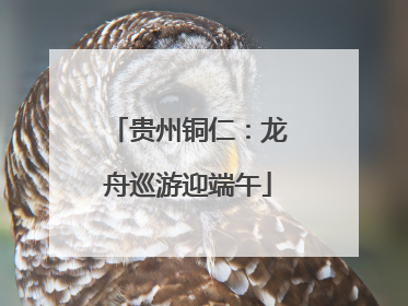 贵州铜仁：龙舟巡游迎端午