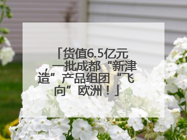 货值6.5亿元，一批成都“新津造”产品组团“飞向”欧洲！