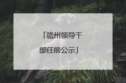 赣州领导干部任前公示