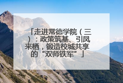 走进常德学院（三）：政策筑基、引凤来栖，锻造校城共享的“双师铁军”