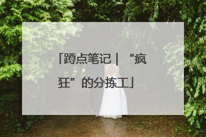 蹲点笔记｜“疯狂”的分拣工