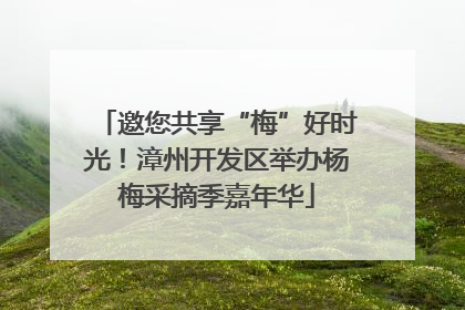 邀您共享“梅”好时光！漳州开发区举办杨梅采摘季嘉年华