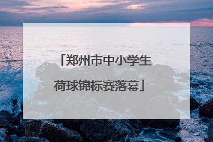 郑州市中小学生荷球锦标赛落幕
