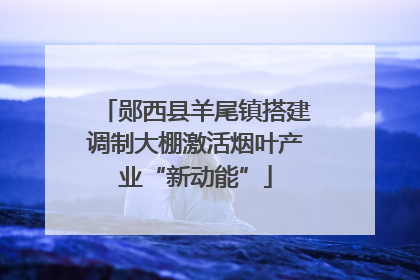 郧西县羊尾镇搭建调制大棚激活烟叶产业“新动能”