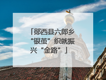 郧西县六郎乡“银茧”织就振兴“金路”