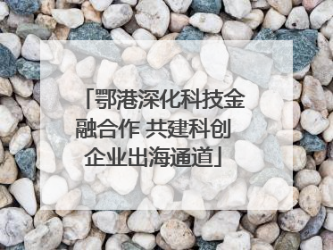 鄂港深化科技金融合作 共建科创企业出海通道