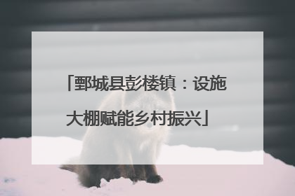 鄄城县彭楼镇：设施大棚赋能乡村振兴