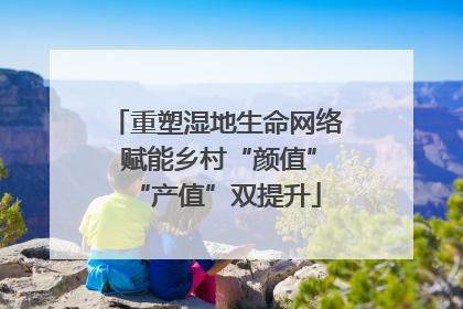 重塑湿地生命网络 赋能乡村“颜值”“产值”双提升