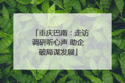 重庆巴南：走访调研听心声 助企破局谋发展